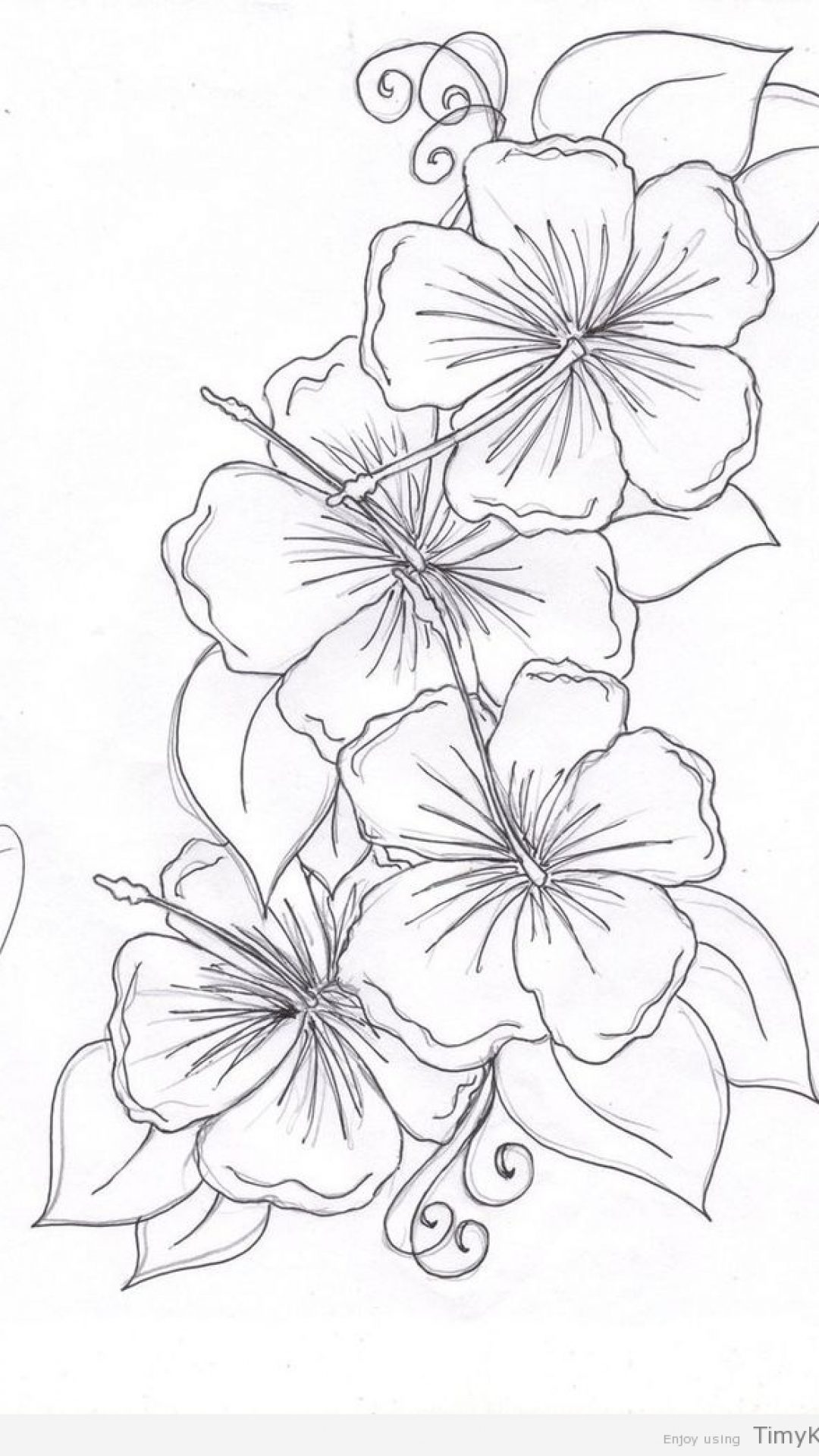 1080x1920 Beautiful Flower Coloring Pages Timykids