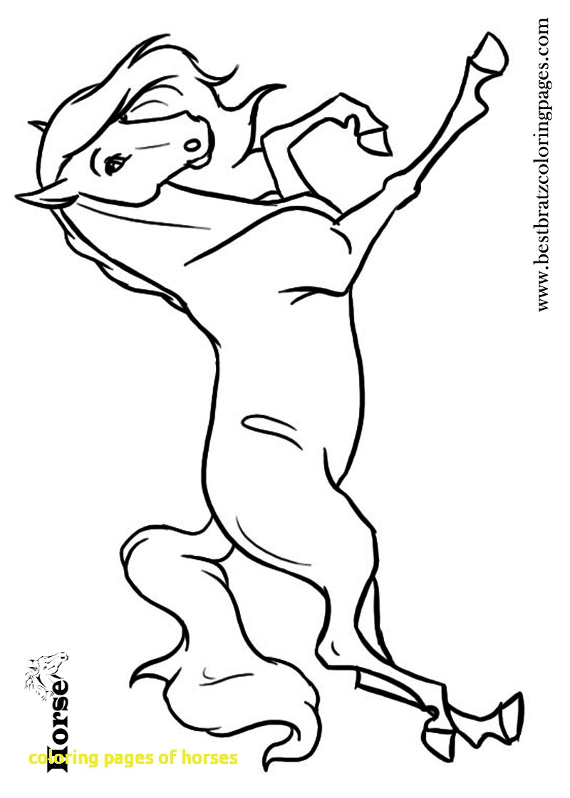 Coloring Pages Of Horses With Horse Coloring Pages Printables 800x1120 Coloring Pages Of Horses With Horse Coloring Pages Printables