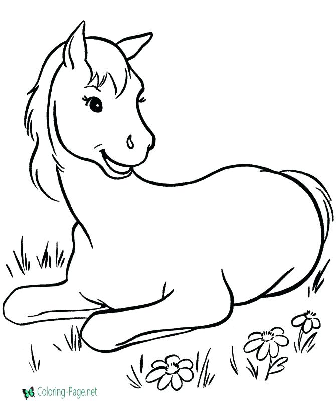 Cute Horse Coloring Pages Horse Cute Horse Coloring Pages Cute 670x820 Cute Horse Coloring Pages Horse Cute Horse Coloring Pages Cute