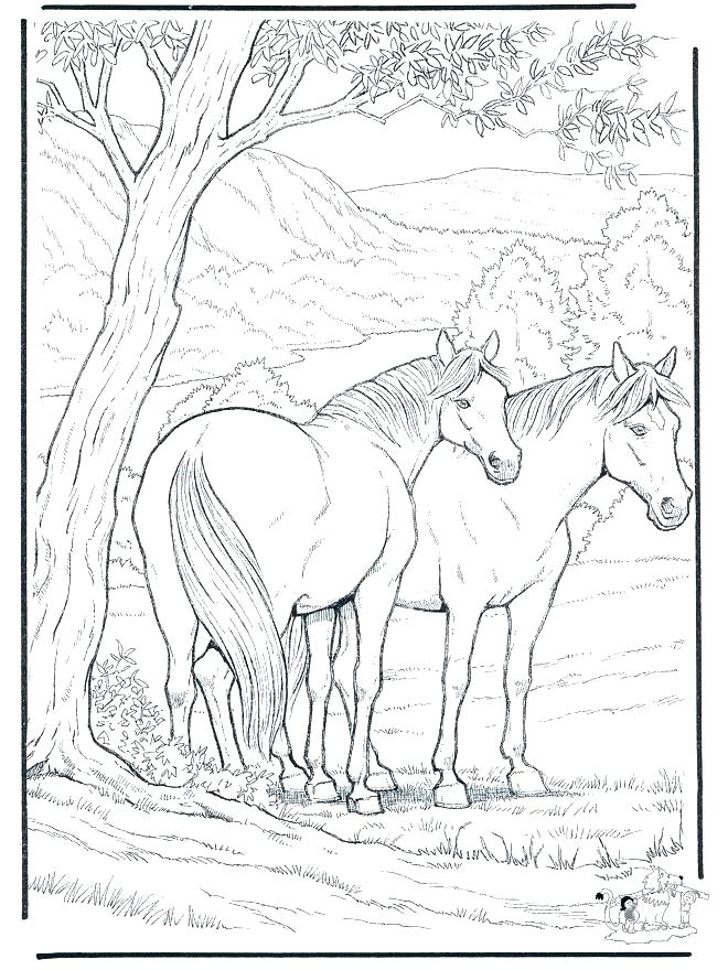 Free Seahorse Coloring Pages Horse Coloring Pages Horse Coloring 660x880 Free Seahorse Coloring Pages Horse Coloring Pages Horse Coloring