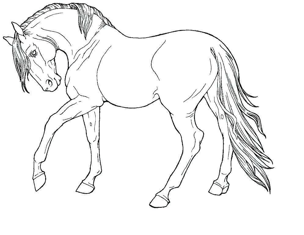Horse Coloring Pages Free Free Printable Horse Coloring Pages 995x768 Horse Coloring Pages Free Free Printable Horse Coloring Pages