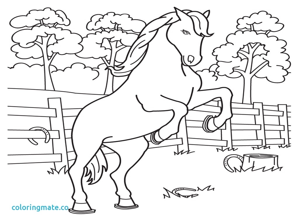 Printable Horse Color Pages Free Coloring Pages Download 1024x768 Printable Horse Color Pages Free Coloring Pages Download