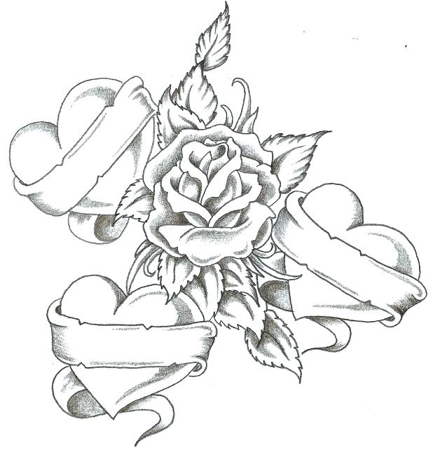 Nice Roses Coloring Pages Best And Awesome Col Unknown Nice Roses 618x642 Nice Roses Coloring Pages Best And Awesome Col Unknown Nice Roses