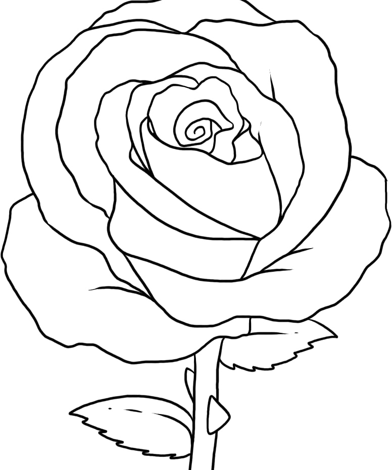 Rose Coloring Page Unique Pretty Flower Coloring Pages Az Coloring 776x932 Rose Coloring Page Unique Pretty Flower Coloring Pages Az Coloring