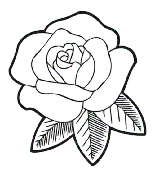 Rose Coloring Pages Download Cute Roses Coloring Page Or Print 500x592 Rose Coloring Pages Download Cute Roses Coloring Page Or Print