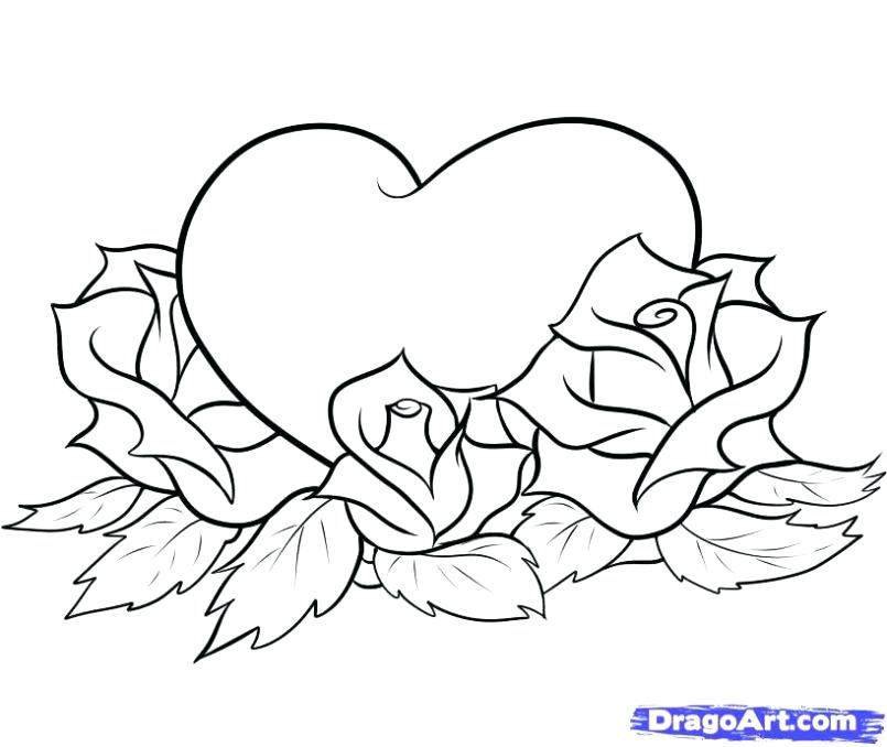 Roses Coloring Pages Printable Coloring Pictures Of Roses Rose 805x678 Roses Coloring Pages Printable Coloring Pictures Of Roses Rose