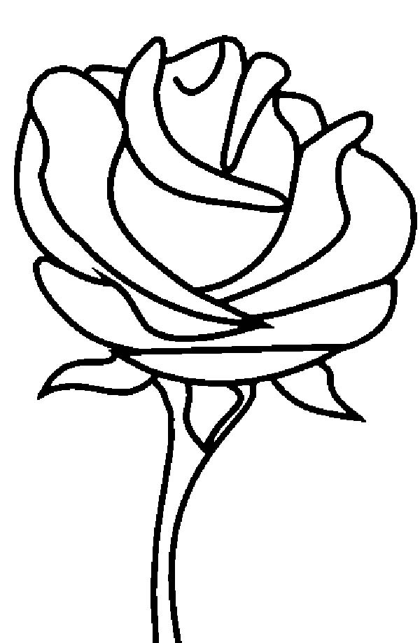 Beautiful Rose Picture Coloring Page 600x918 Beautiful Rose Picture Coloring Page