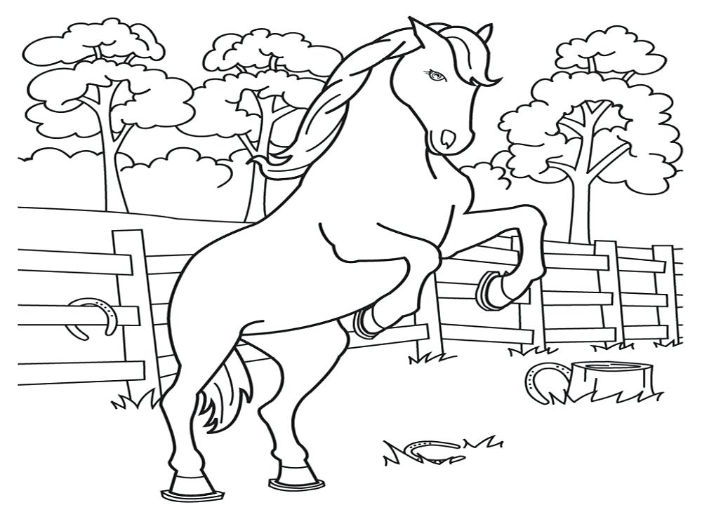 1000x750 Coloring Pages Cute Princess Horse Color Sheets For Children