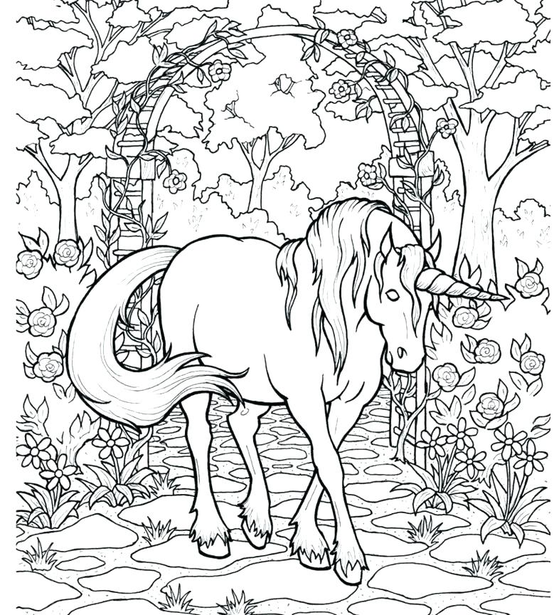 Unicorn Coloring Pages Printable Unicorn Coloring Pages Printable 786x864 Unicorn Coloring Pages Printable Unicorn Coloring Pages Printable
