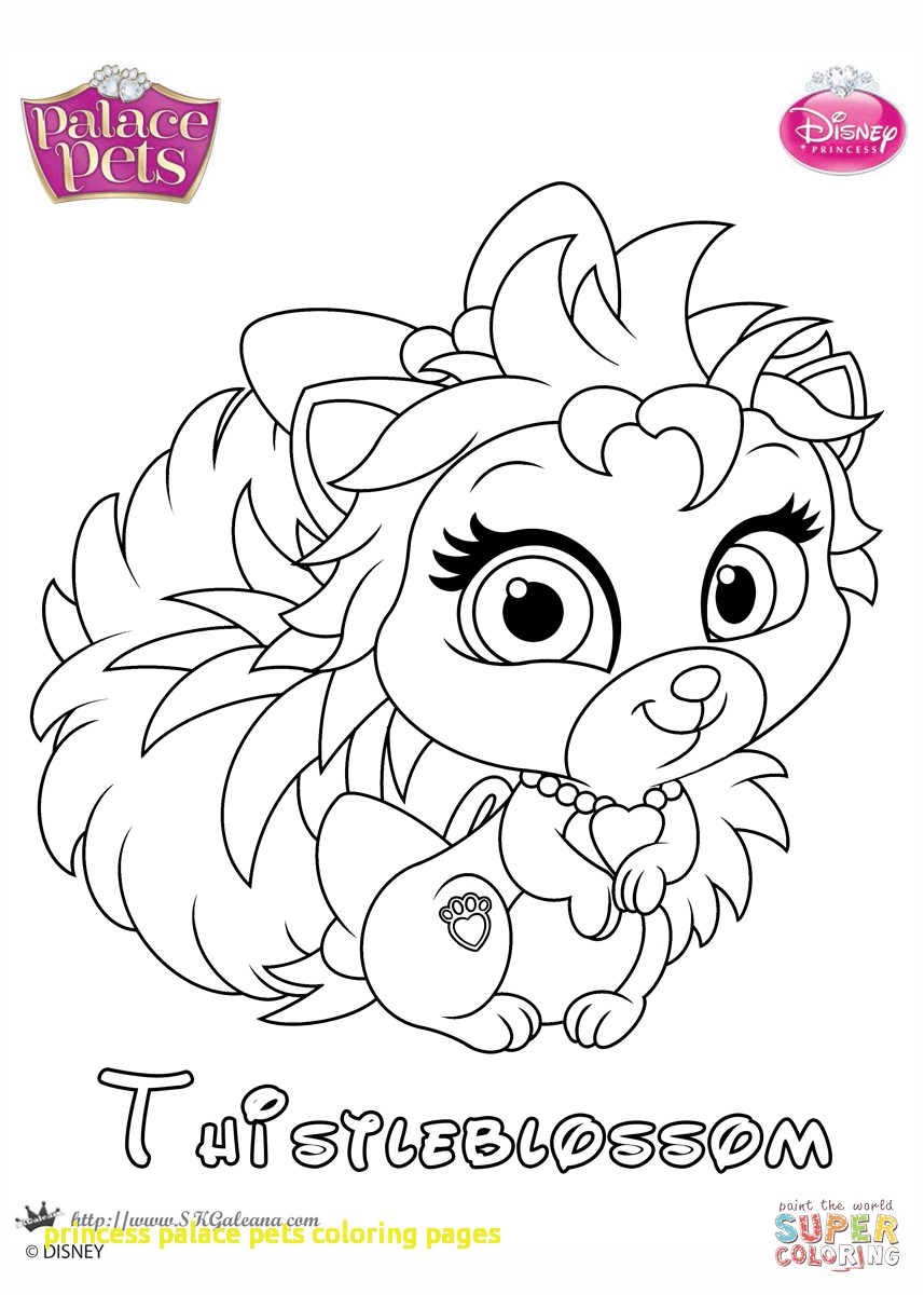 Princess Palace Pets Coloring Pages With Thistleblossom Princess 857x1200 Princess Palace Pets Coloring Pages With Thistleblossom Princess