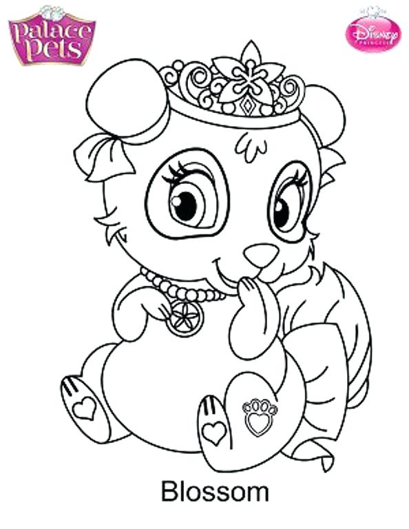 Disney Belle Para Colorear Absolutely Ideas Princess Palace Pets 594x768 Disney Belle Para Colorear Absolutely Ideas Princess Palace Pets