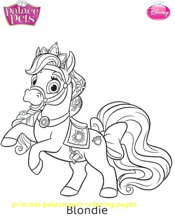 Princess Pets Coloring Pages 595x751 Princess Pets Coloring Pages