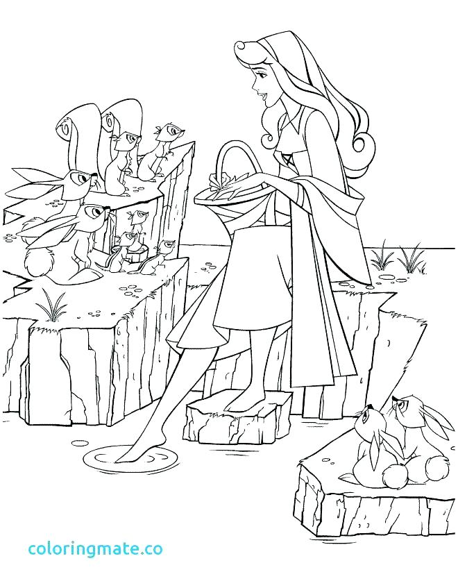 Princess Aurora Pictures To Color 660x847 Princess Aurora Pictures To Color
