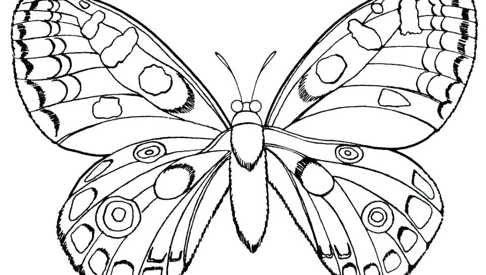 960x544 Butterfly Coloring Pages Butterfly Coloring Pages Print Butterfly