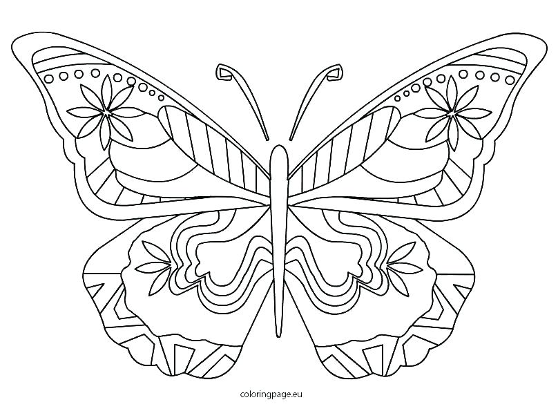 808x595 Butterfly Coloring Pages For Adults Printable Hearts