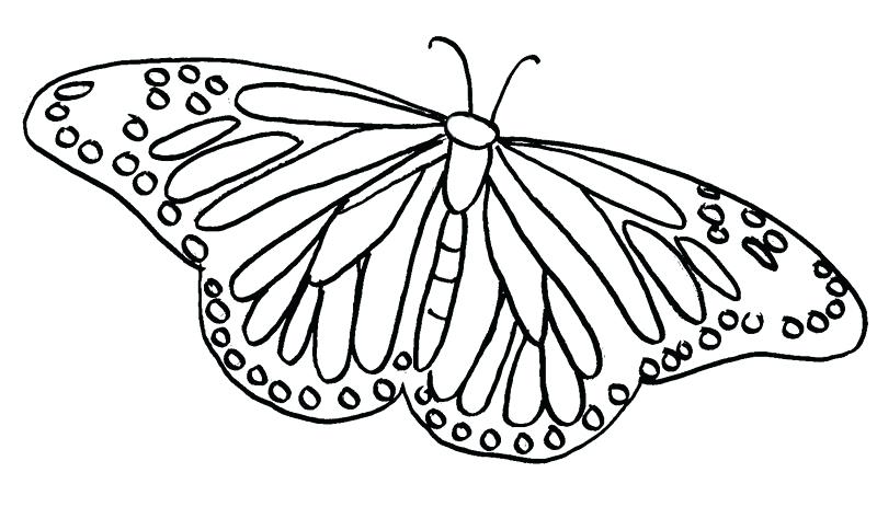 800x463 Butterfly Coloring Pages Print Simple Butterfly Coloring Pages