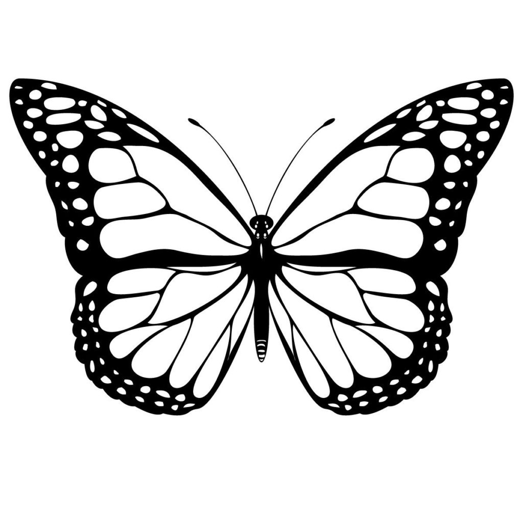 1024x1024 Butterfly Coloring Pages To Print