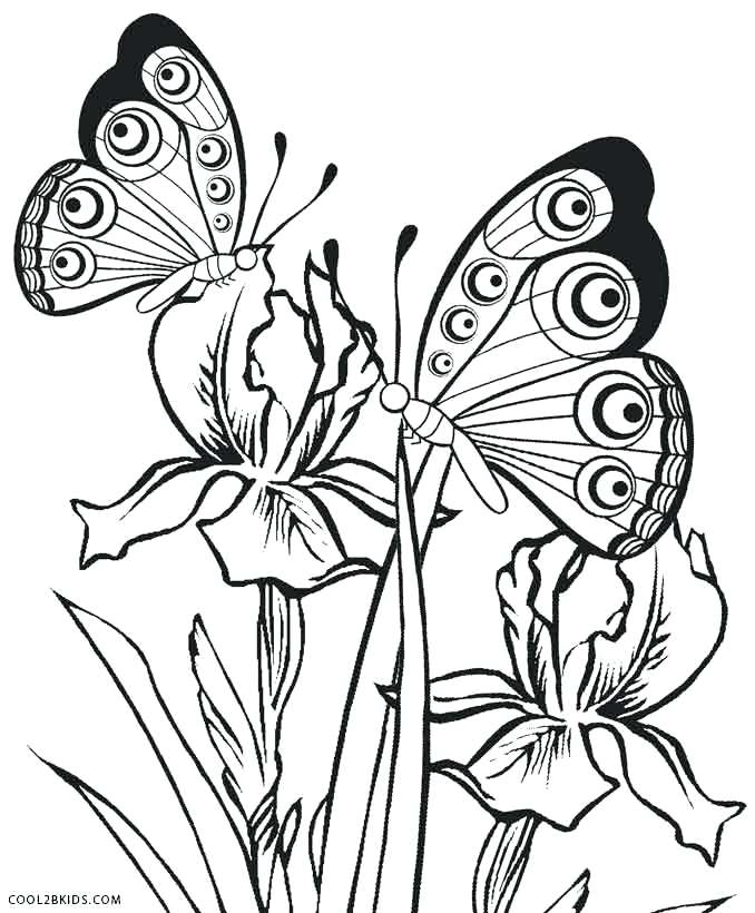 678x820 Color Page Butterfly Printable Butterfly Coloring Pages For Kids