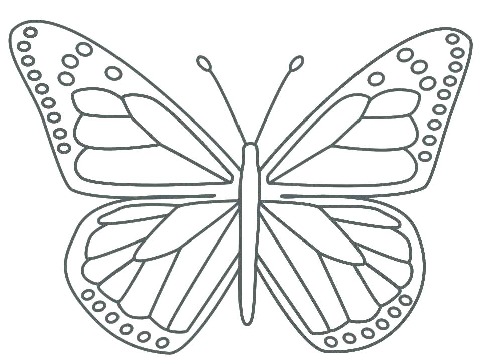 950x719 Detailed Butterfly Printable Coloring Pages Free Printable