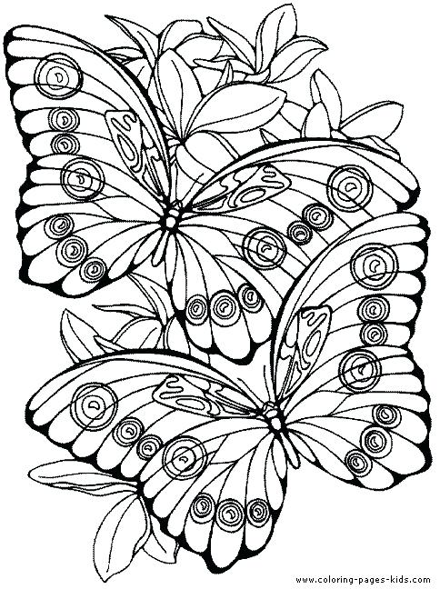 484x648 Print Out Coloring Pages For Adults Butterfly Color Page Animal