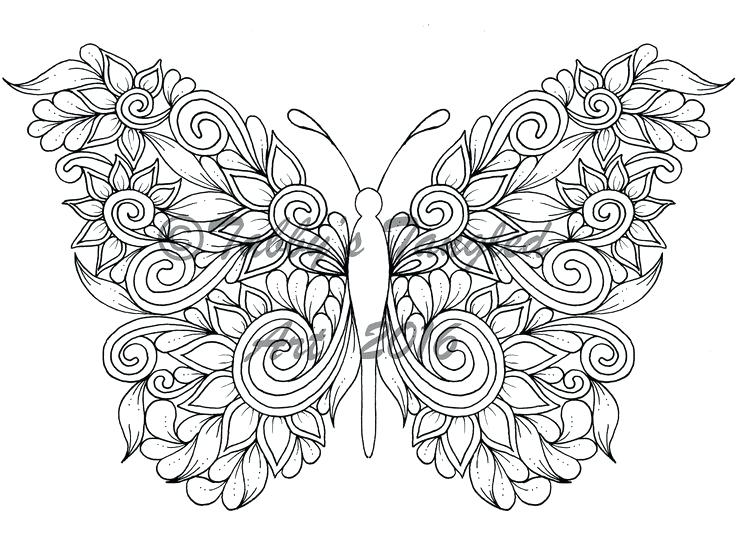 736x552 Butterfly Color Pages Butterfly Coloring Pages For Adults