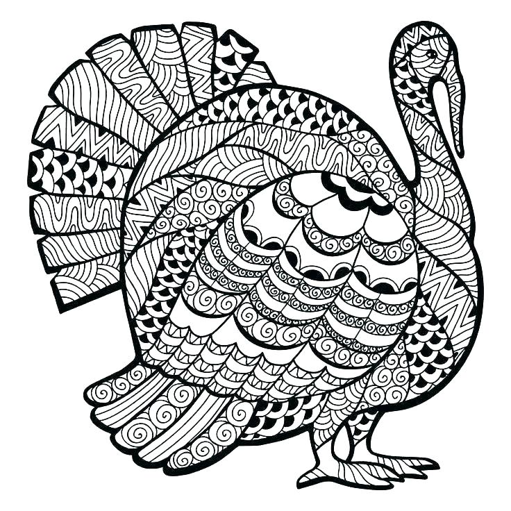 Turkey Coloring Sheets To Print Coloring Pages For Thanksgiving 736x736 Turkey Coloring Sheets To Print Coloring Pages For Thanksgiving