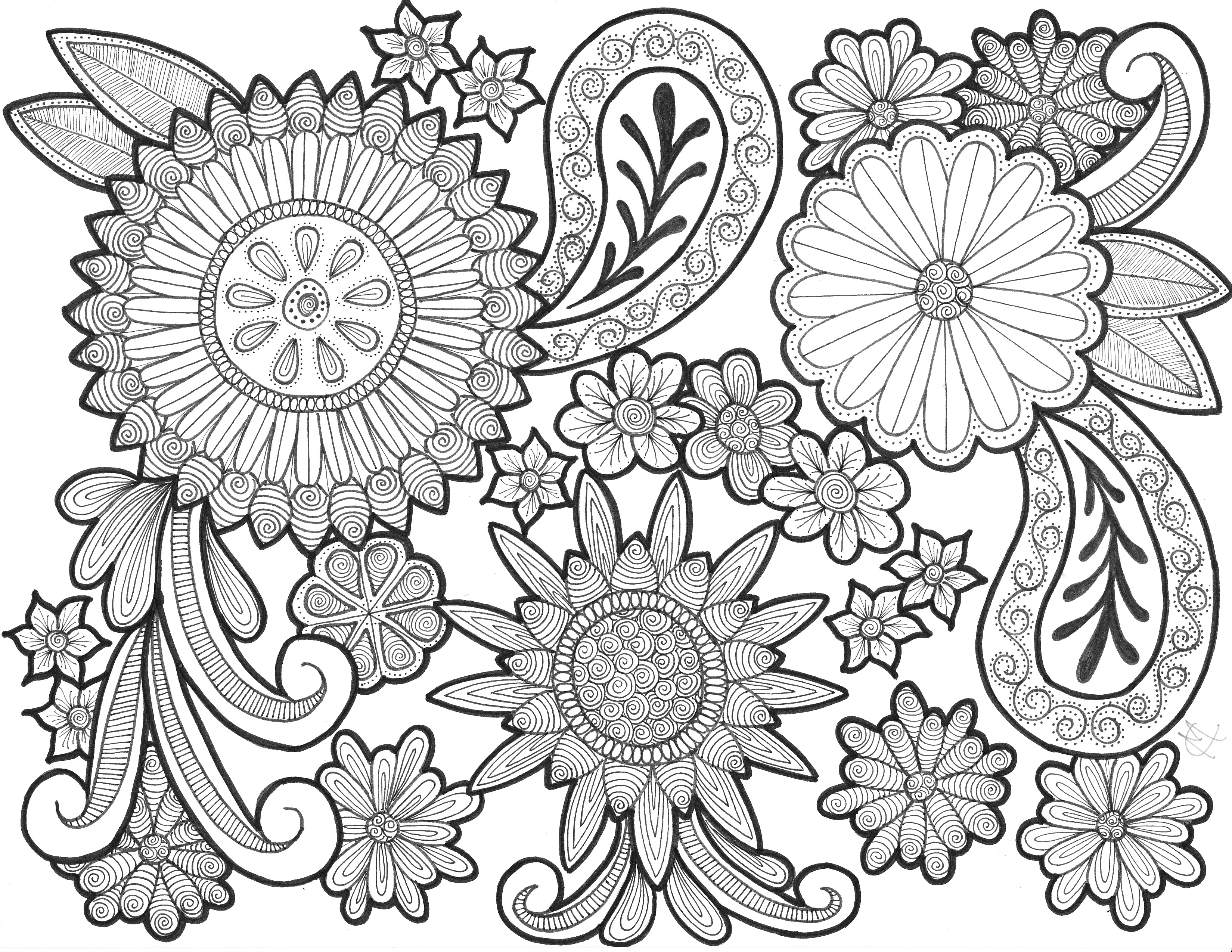 Inspirational Adult Coloring Pages Paisley Coloringfun 3299x2549 Inspirational Adult Coloring Pages Paisley Coloringfun