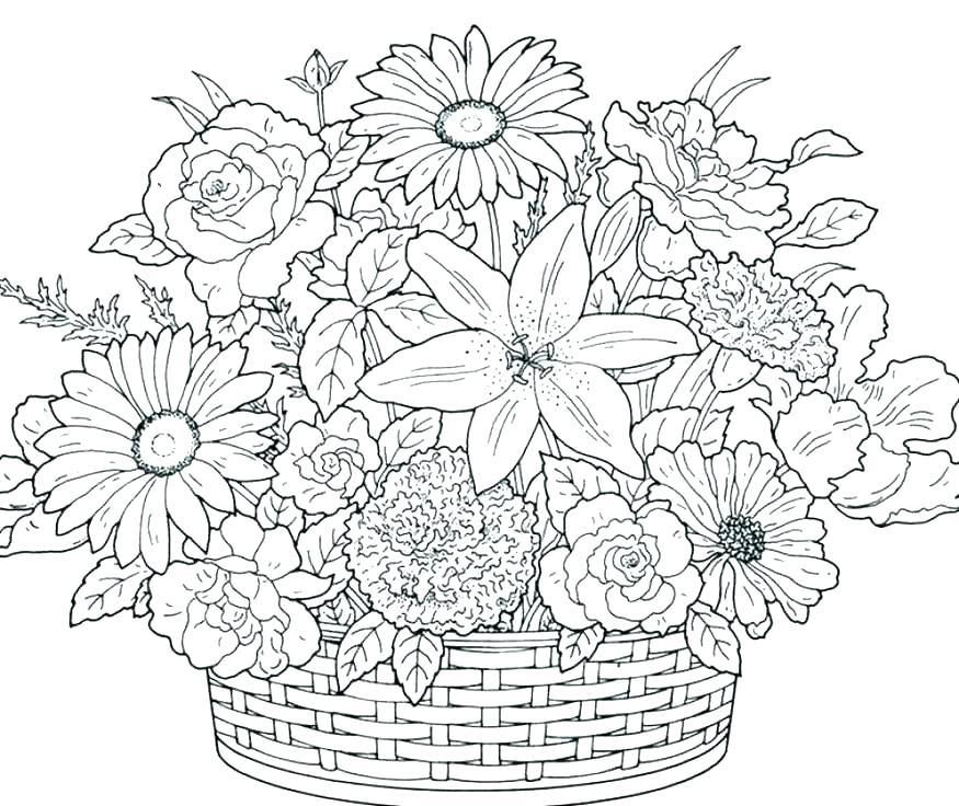 Coloring Pages For Flowers Coloring Page Flower Plain Ideas 875x736 Coloring Pages For Flowers Coloring Page Flower Plain Ideas