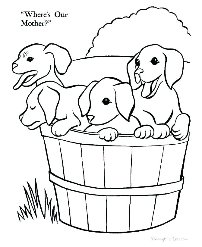 Baby Farm Animal Coloring Pages Farm Animal Coloring Page Baby 670x820 Baby Farm Animal Coloring Pages Farm Animal Coloring Page Baby