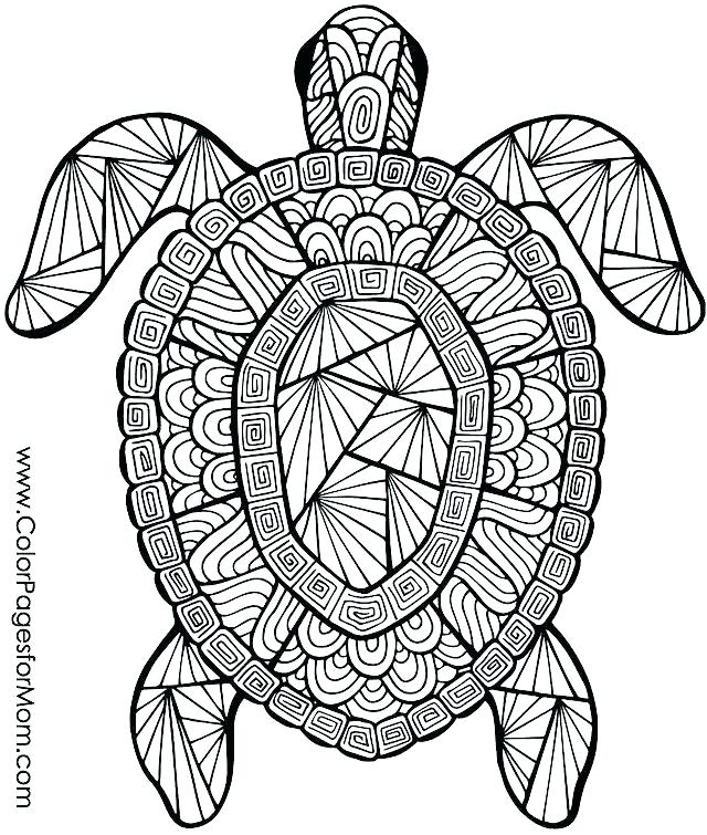 Coloring Pages Animal Wild Animals Coloring Pages Printable Animal 640x755 Coloring Pages Animal Wild Animals Coloring Pages Printable Animal