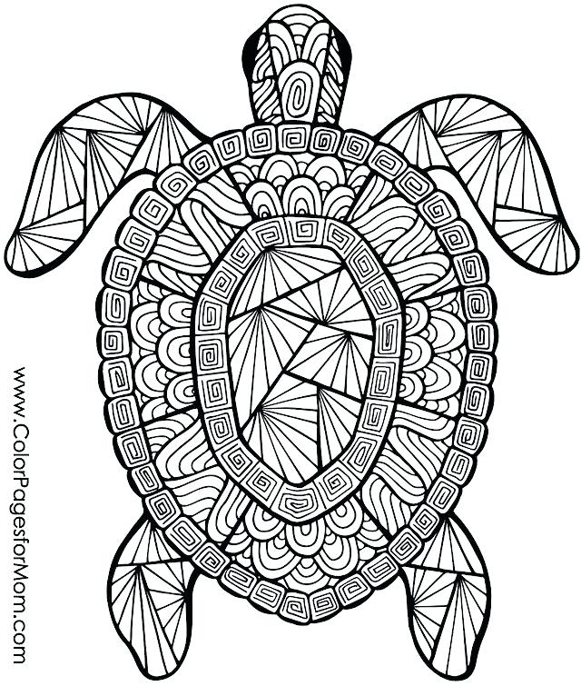 640x755 Coloring Pages Of Animals Printable Adult Coloring Pages Animals
