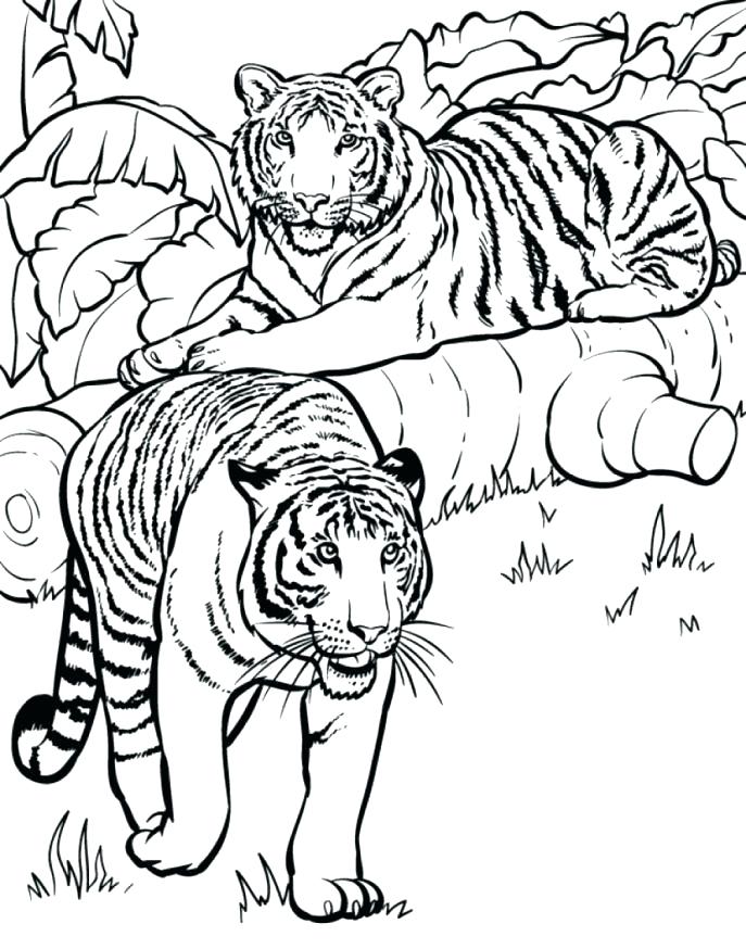 687x874 Wildlife Coloring Pages Printable Animals Coloring Sheets