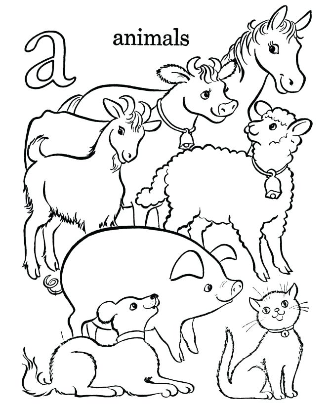 670x820 Animal Coloring Pages For Adults