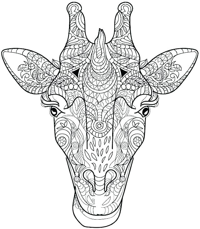 640x731 Animal Coloring Pages Adults Pdf Coloring Book Pages