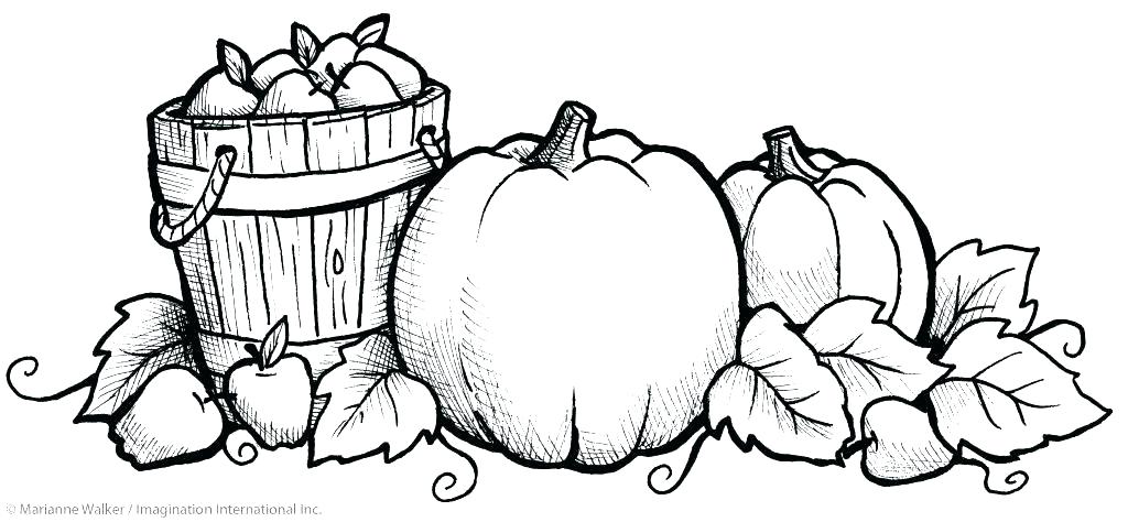 1024x474 Autumn Coloring Pages Free Printable Trendy Design Printable Fall