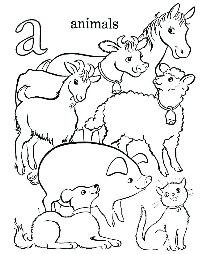 Printable Baby Animal Coloring Pages Medium Size Of Printable Baby 670x820 Printable Baby Animal Coloring Pages Medium Size Of Printable Baby