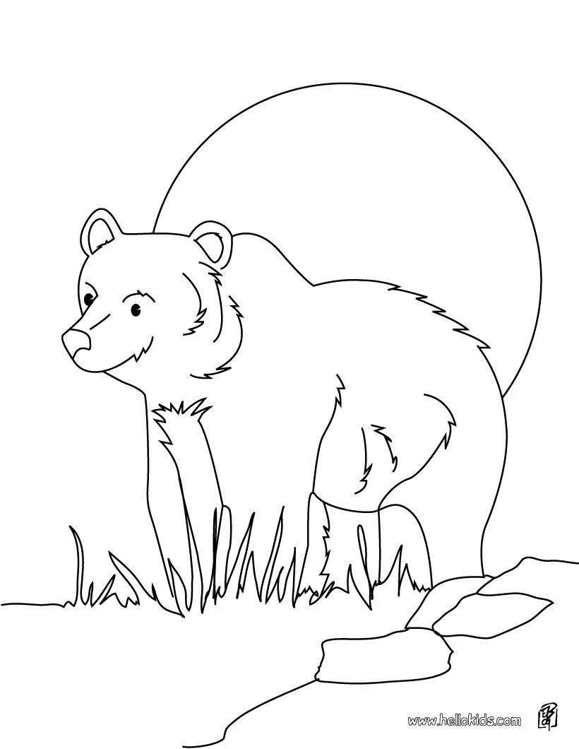 Grizzly Bear Coloring Pages 820x1060 Grizzly Bear Coloring Pages