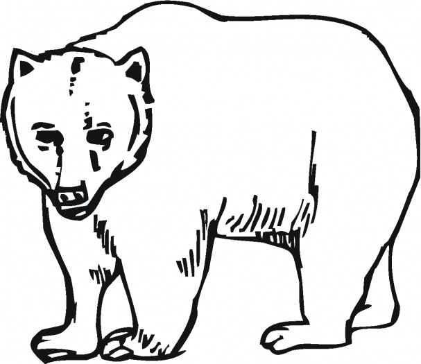 Pictures Of Bears To Colour In Bear Coloring Pages 1 Coloring Kids 607x525 Pictures Of Bears To Colour In Bear Coloring Pages 1 Coloring Kids