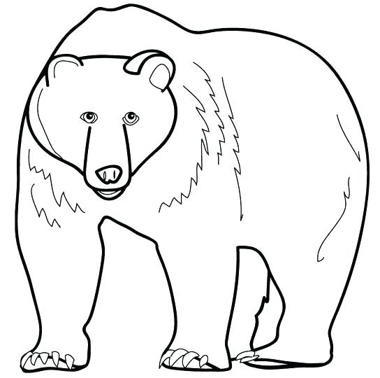 Printable Bear Coloring Pages Printable Coloring Page Coloring 544x540 Printable Bear Coloring Pages Printable Coloring Page Coloring