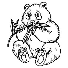 Top 25 Free Printable Cute Panda Bear Coloring Pages Online 230x230 Top 25 Free Printable Cute Panda Bear Coloring Pages Online