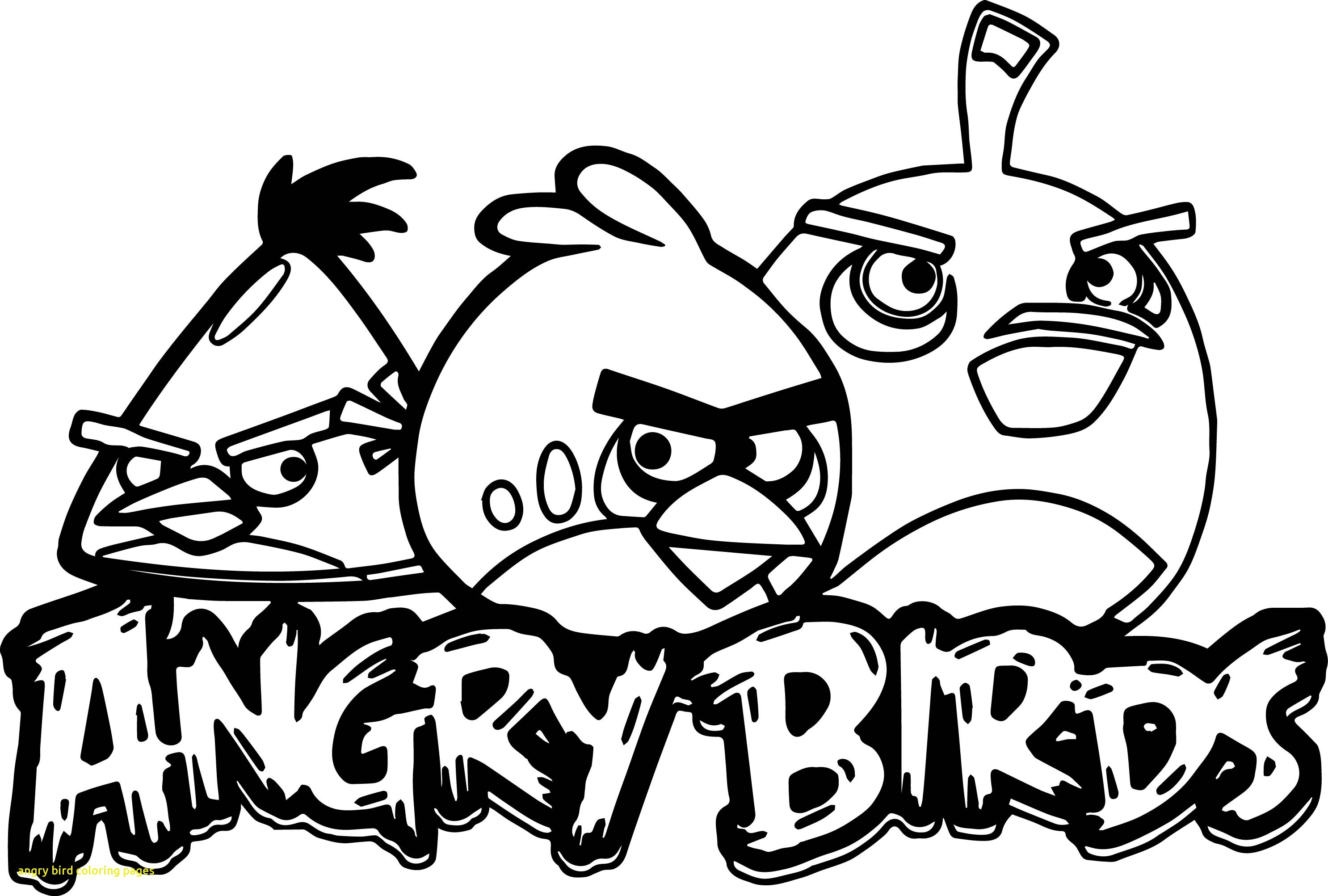 2972x2005 Angry Birds Pictures Gallery Colouring Pages Seanscoolass.co