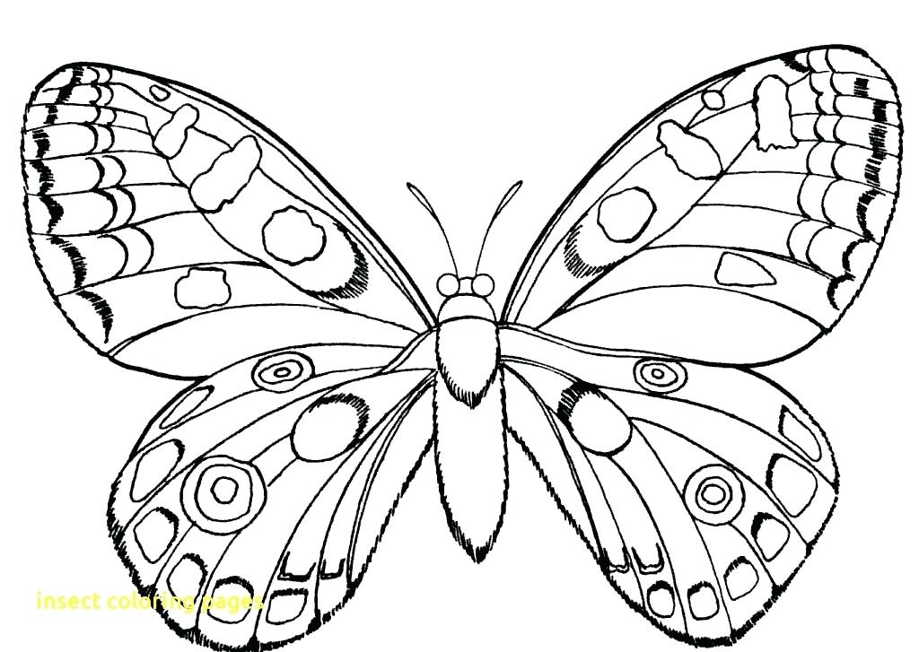 Insect Lessons For Kindergarten Kids Coloring Insect Coloring 1024x727 Insect Lessons For Kindergarten Kids Coloring Insect Coloring