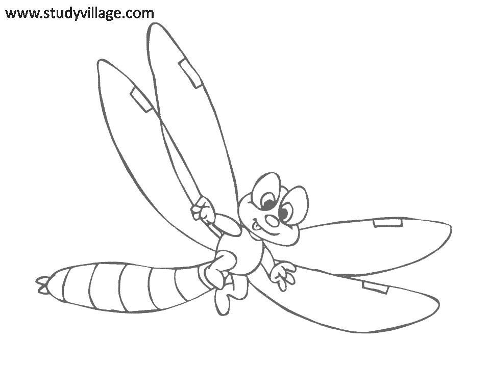 Best Photos Of Printable Insect Coloring Pages 960x720 Best Photos Of Printable Insect Coloring Pages