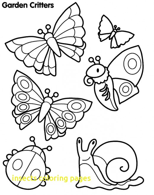 Insects Coloring Pages With 27 Coloring Pages Insects Free 520x659 Insects Coloring Pages With 27 Coloring Pages Insects Free