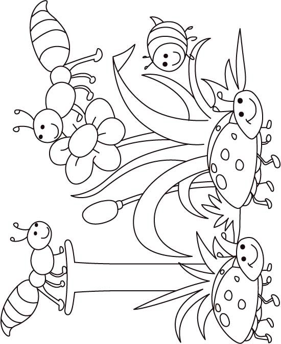 Bug Coloring Pages Preschool I Insect Coloring Page 550x672 Bug Coloring Pages Preschool I Insect Coloring Page