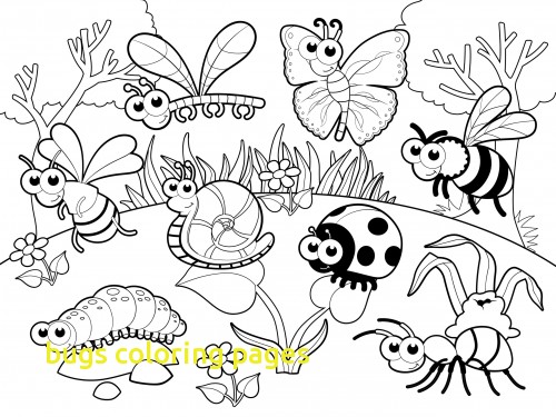 Bugs Coloring Pages With 27 Coloring Pages Insects Free Printable 500x375 Bugs Coloring Pages With 27 Coloring Pages Insects Free Printable