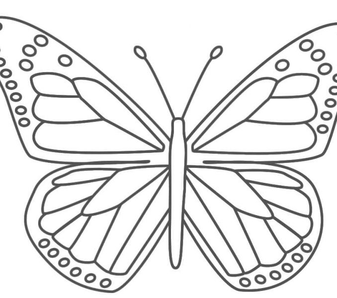 Butterfly Images Printable Endless Creations With Butterfly 678x600 Butterfly Images Printable Endless Creations With Butterfly