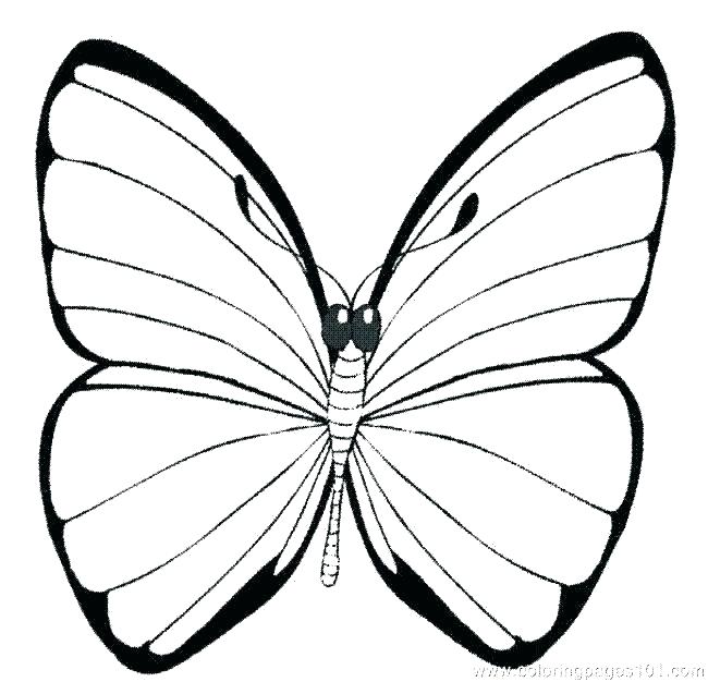 Butterfly Printable Coloring Pages Monarch Butterfly Coloring 650x626 Butterfly Printable Coloring Pages Monarch Butterfly Coloring