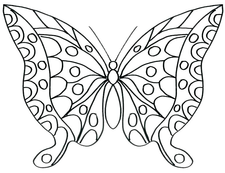 Cute Butterfly Coloring Pages Coloring Pages Butterflies Cute 774x595 Cute Butterfly Coloring Pages Coloring Pages Butterflies Cute