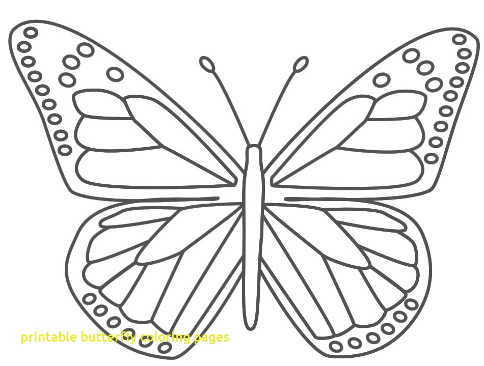 Free Printable Butterfly Pictures Printable Butterfly Coloring 950x719 Free Printable Butterfly Pictures Printable Butterfly Coloring
